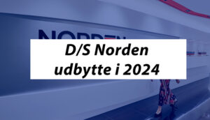 DS Norden udbytte 2024