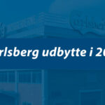 Carlsberg udbytte 2024