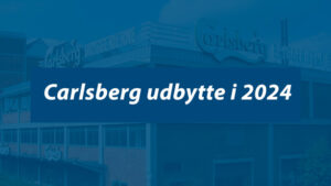 Carlsberg udbytte 2024