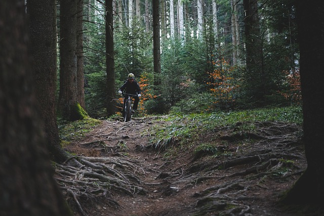 Mountainbike